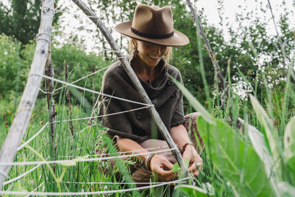 The Season's First Harvest: Helpful and Healthful Tips for a Bountiful Harvest