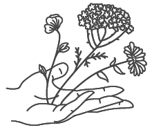 The Plant Ally