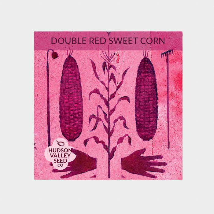 Double Sweet Red Corn