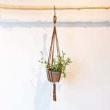 The Knotty Weaver Handmade Macrame Plant Holder - Rust