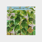 Stinging Nettle Medicinal Herb